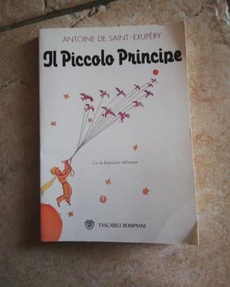 Il piccolo principe