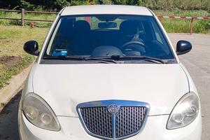 Lancia Y neopatentati