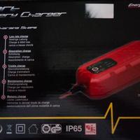 Smart battery charger Energy Flo pro da 24,a 12v. 