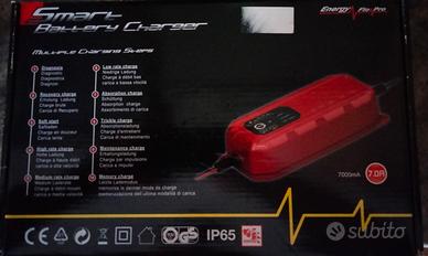 Smart battery charger Energy Flo pro da 24,a 12v. 