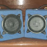 coppia casse auto 300w