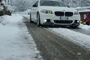 Bmw 525d N57 6 cilindri 3.0