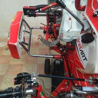 BIREL S16