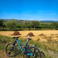 Mountain bike wilier Triestina TRB 903 