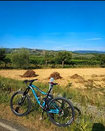 Mountain bike wilier Triestina TRB 903 