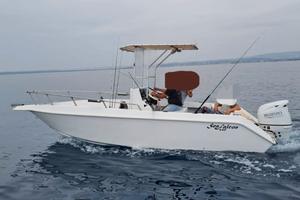 Molinari Falcon con suzuki 140 cv