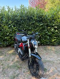 Moto Benelli 302s 2021