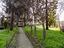 Immagine 25