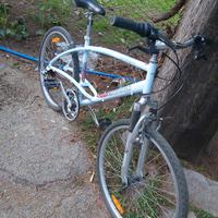 bicicletta montanbike donna