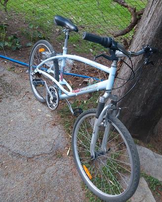 bicicletta montanbike donna