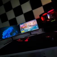 Coppia Monitor Gaming/Editing