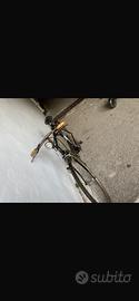 bici d’epoca campione del mondo