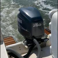 Motore yamaha 250 hp