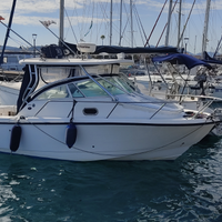 Edge Water 265 exprea Yamaha 2×250