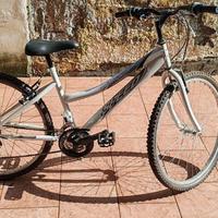 Bicicletta Toimsa