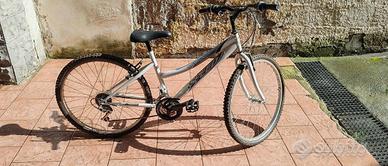 Bicicletta Toimsa