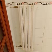 termosifoni in ghisa 