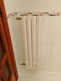 termosifoni in ghisa 