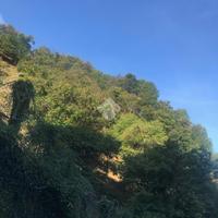 TER. AGRICOLO A PISOGNE