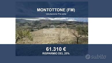 Immobile in asta di 112465 m² a Montottone