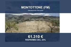 Immobile in asta di 112465 m² a Montottone