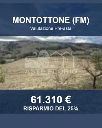 Immobile in asta di 112465 m² a Montottone