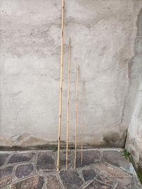 CANNE DI BAMBÙ PER ORTO O GIARDINO