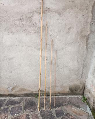 CANNE DI BAMBÙ PER ORTO O GIARDINO