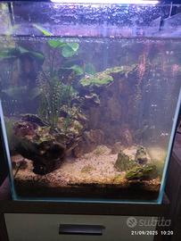 Acquario da 30Lt