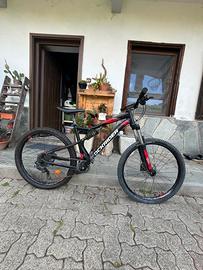 Mountain bike
