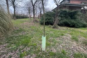 Shelter per vigneto, tubi protezione viti o piante