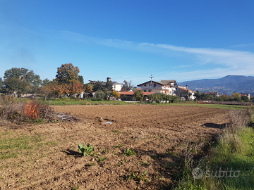 Terreno edificabile Quattromiglia