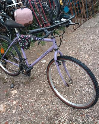 Bicicletta Mountainbike 26"