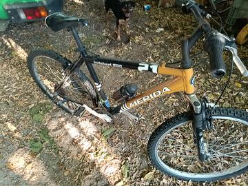 bici ragazzo 