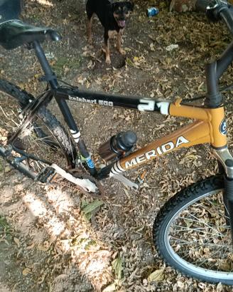 bici ragazzo 