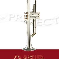 Tromba NM PROJECT «David Trumpet» (2)