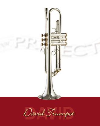 Tromba NM PROJECT «David Trumpet» (2)