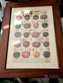 Quadro con stampa ciliegie