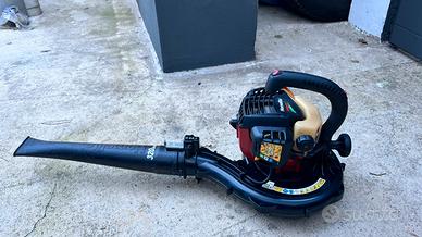 Soffiatore e raccoglitore a scoppio