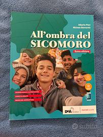 all'ombra del sicomoro - libro di religione