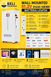 Batteria al litio LiFePO4 da 16 kWh (51,2V 314Ah)