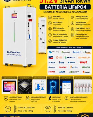 Batteria al litio LiFePO4 da 16 kWh (51,2V 314Ah)
