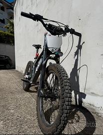 bici elettrica 