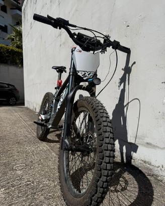 bici elettrica 