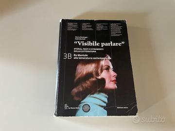 Visibile parlare 3B