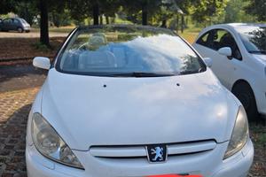 307 cc