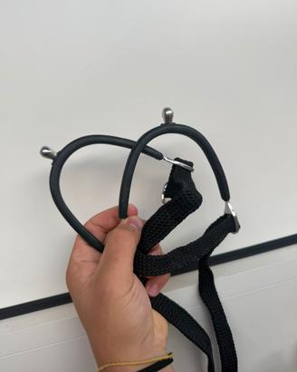 Speroni da equitazione