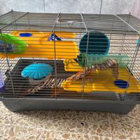 Gabbietta per criceti