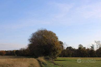 Terreno di 6800 m² a Bonate Sotto