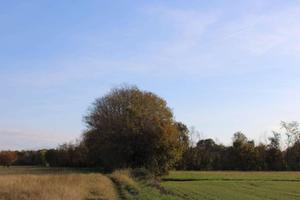 Terreno di 6800 m² a Bonate Sotto